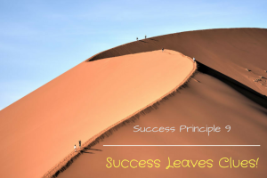 success-principle-9-blog-9