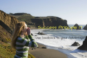 success-principle-17-blog-17