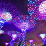 Singapore lighted supertrees